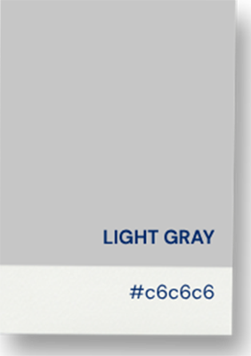 Light gray accent #c6c6c6